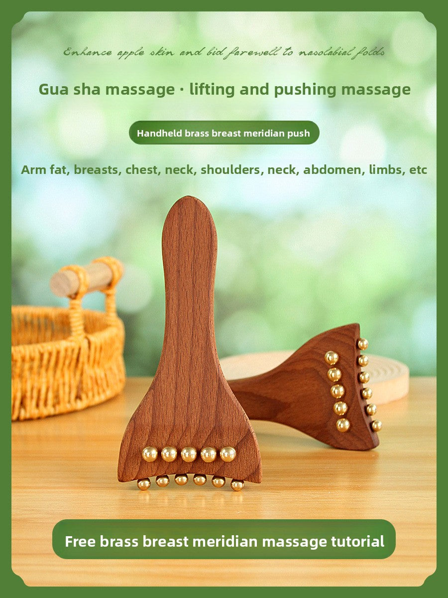 Long-Handle Body Massage Brush