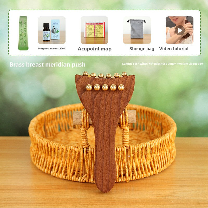 Long-Handle Body Massage Brush