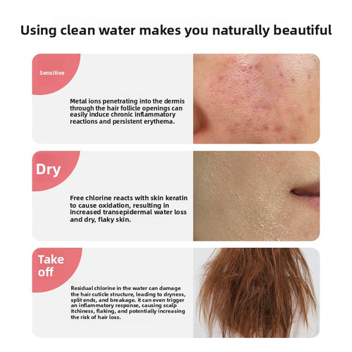 Aroma Shower Filter
