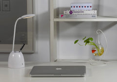 Multi-Functional Charging Desk Lamp with Holder and Mirror